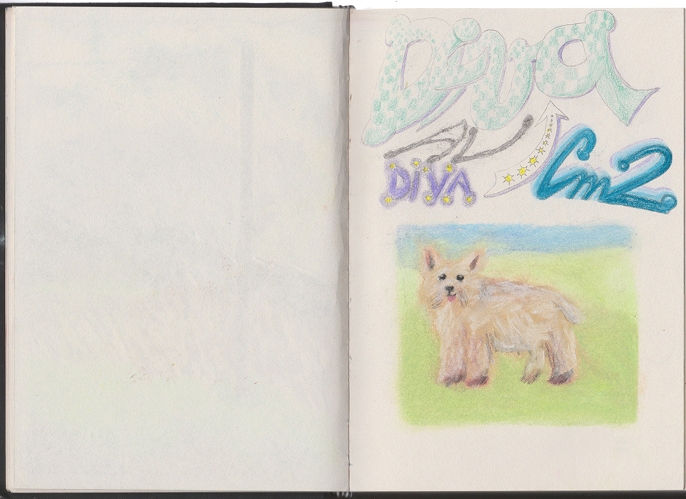 carnet