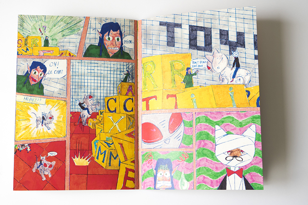 img projet