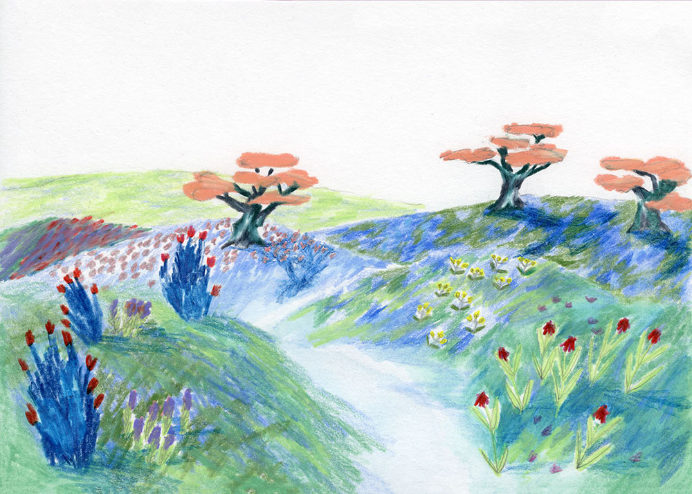img projet